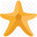 Estrella de mar  Icono