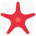 Estrella de mar  Icono