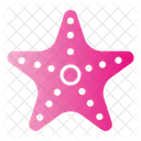 Estrella de mar  Icono