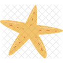 Estrella De Mar Mar Animal Icon