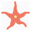 Estrella de mar  Icono