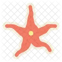 Estrella de mar  Icono