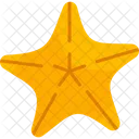 Estrella De Mar Estrella De Mar Mar Icono