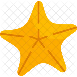 Estrella de mar  Icono