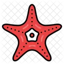 Estrella de mar  Icono