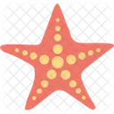 Estrella De Mar Mar Estrella Icono