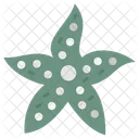 Estrella De Mar Estrella De Mar Pez Icon