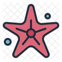 Estrella De Mar Oceano Marino Icono