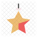 Estrella de navidad  Icono