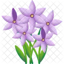 Flor De Estrella Naturaleza Planta Icono