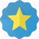 Favorito Estrella Insignia Icono