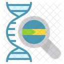 ADN Estructura Base Icon