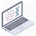 Estructura del ácido desoxirribonucleico  Icono