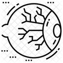 Estructura Del Ojo Anatomia Conjuntiva Icono