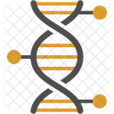 Estrutura Do DNA DNA Genetica Ícone