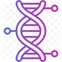 Estrutura Do DNA DNA Genetica Ícone