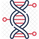 Estrutura Do DNA DNA Genetica Ícone