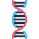 Estrutura do DNA  Ícone