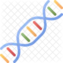 Estrutura do DNA  Ícone