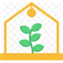 Estufa Planta Cultivo Icon