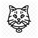 Nombre Etiqueta Gato Icono