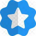 Etiqueta De Estrella Insignia De Estrella Pancarta De Estrella Icono