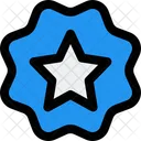 Etiqueta De Estrella Insignia De Estrella Pancarta De Estrella Icono
