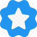 Etiqueta De Estrella Insignia De Estrella Pancarta De Estrella Icono