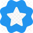 Etiqueta De Estrella Insignia De Estrella Pancarta De Estrella Icono