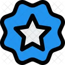 Etiqueta De Estrella Insignia De Estrella Pancarta De Estrella Icono