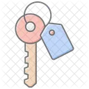 Cle Etiquette Lineaire Couleur Icone Icône