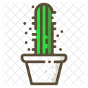 Etoile Cactus Succulente Icon