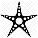 Étoile de mer  Icône