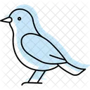 Etourneau Oiseau Troupeau Icône