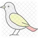 Etourneau Oiseau Troupeau Icône