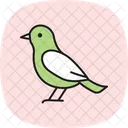 Etourneau Oiseau Troupeau Icône