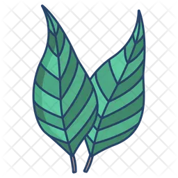 Eucaliptus Leaf  Icon