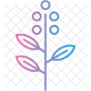 Eucalyptus Leaf Herbal Icon