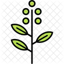 Eucalyptus Leaf Herbal Icon