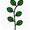 Eucalyptus Leaf Herbal Icon