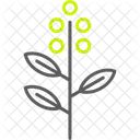 Eucalyptus Leaf Herbal Icon