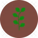 Eucalyptus Leaf Herbal Icon