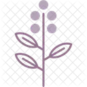 Eucalyptus Leaf Herbal Icon