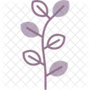 Eucalyptus Leaf Herbal Icon