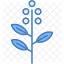 Eucalyptus Leaf Herbal Icon