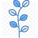 Eucalyptus Leaf Herbal Icon