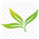 Eucalyptus Leaves Vector Leaves Leaves Logo Icon