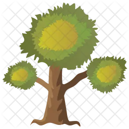 Eucalyptus Tree  Icon