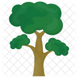Eucalyptus Tree  Icon