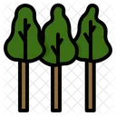 Eucalyptus Trees Forest Woodland Wood Plant Pine Icon